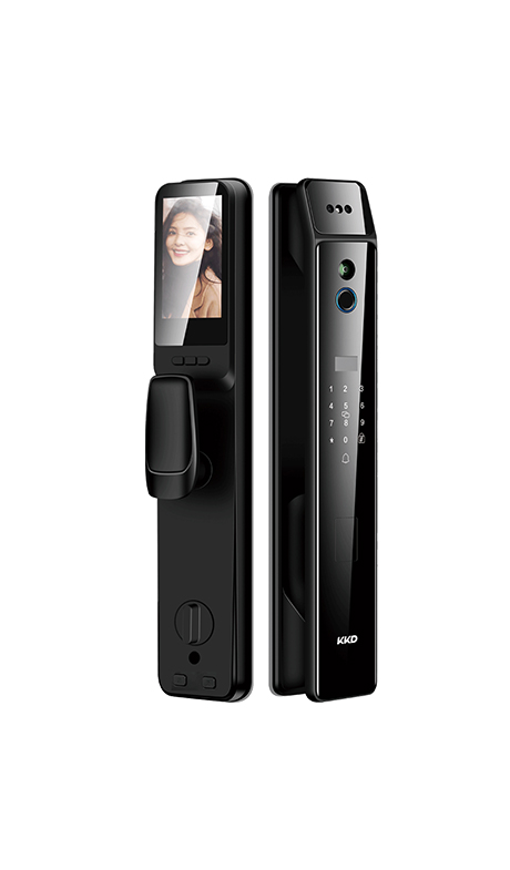 Electronic Fingerprint Door Lock, Entry Smart Door Lock